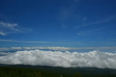 DSC_3659 (Large).JPG